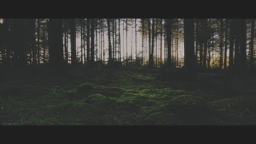 a bitter end. - q u a n t u m (OFFICIAL MUSIC VIDEO)