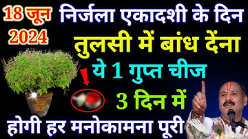 #kal 18 जून निर्जला एकादशी के दिन तुलसी में बांध देना 1 चीज 3 दिन में होगी हर मनोकामना पूरी..#tulsi