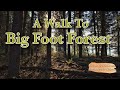 A Walk Out To Big Foot Forest At The Chateau Cottage. Ep 6