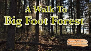 A Walk Out To Big Foot Forest At The Chateau Cottage. Ep 6