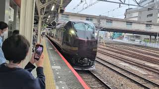 団体列車で行く南小谷への旅JR東日本E655系和(なごみ)が八王子駅4番線を発車するシーン〜9025M2025-05-10