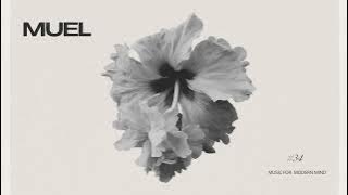 MUEL #34: Soft Touch Mix | Chill Electronica for Calm & Clarity