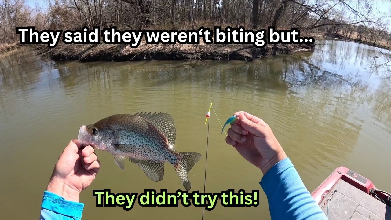 EVERYONE said the crappie WEREN'T biting in this creek BUT they didn't LOOK here!