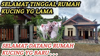 Melozi dan kucing di usir satu Rt‼