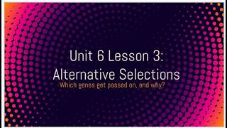 U6L3 Instruction Video