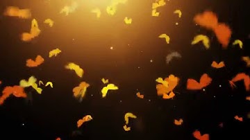 Trainz Driver 2 - Play With Nature