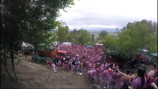 Welcome To The Haro Wine Fight 2024