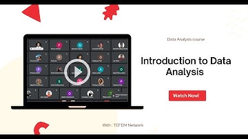 Introduction to Data Analysis / TEFEM Africa fellowship 2024