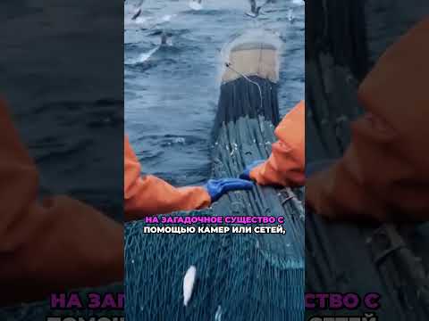 Хлесткая цитата А. П. Чехова.