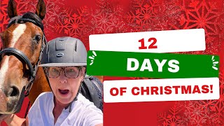 Gift Ideas for Equestrians 🎄12 Days of Christmas🎄 by The Budget Equestrian 418 views 5 months ago 3 minutes, 51 seconds