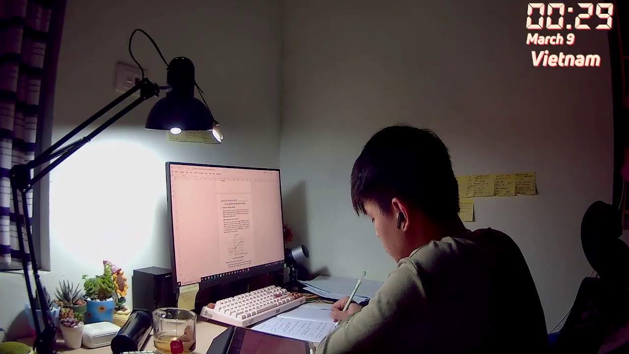 🌻 Study with me #584 (học bài thôi:3)🌻