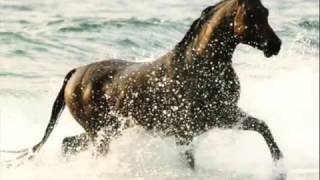 Polyushka Polye Original Version