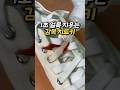 “새로 산 흰 원피스에 아메리카노 쫙-! 😱멘붕 온 당신을 구원할 ‘가방 속 마법’ 공개!”