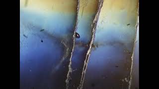 Third Son - Tambora A Year Without Sun (Original Mix)