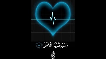 حالات واتس اب قرآن تلاوة خاشعة جميلة جدا 😌❤ بصوت يريح القلب سورة الليل