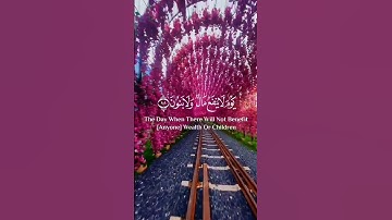 لا اله الا الله انت سبحانك يارب 🤲🏻#الحمدلله_دائماً_وابداً #تلاوة_خاشعة #ياسر_الدوسري #رح_سمعك
