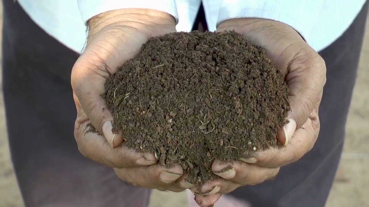 ಅಡಕೆ ಸಿಪ್ಪೆ ಬೇಗ ಗೊಬ್ಬರವಾಗಲು ಹೀಗೆ ಮಾಡಿ   ಡಾ  ನಾಗರಾಜ ,ಡಾ  ಮಂಜುನಾಥ