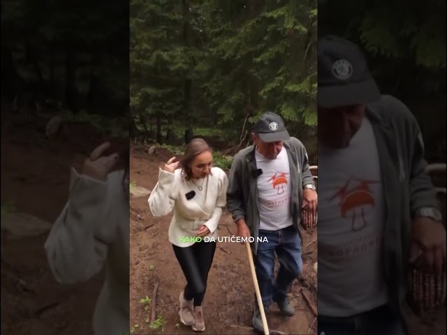 Gljivari čuvaju prirodu: Izazov turizma i misija očuvanja #shorts
