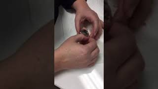 Saving a Shrink Wrapped Chick Inside an Egg