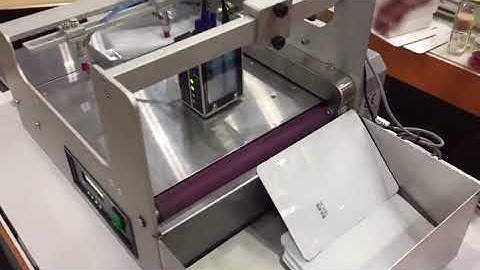 Anser U2 ProS on Plastic, Japan | Pyrotec PackMark, South Africa