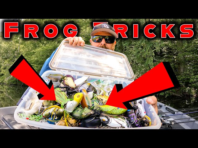 Frog Fishing Tips for More Bass: Size and Color Matters - Wired2Fish