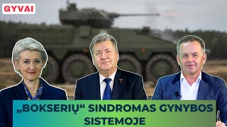 Lietuvos gynybai leidžiami milijardai, bet ar iš tiesų galime jaustis saugūs?