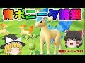 【ポケモン・ピカブイ・色違いゆっくり実況♯1】色違いポニータを探して３千里