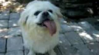 With A Tongue Like This...i Want Ice Cream