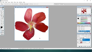 cbse, class 8th Chapter 7 Using tools in Photoshop Part 1