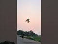 Tay to thả dù #funny #vairalvideo