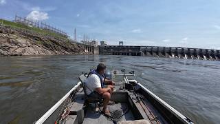 The Catfish Were Stacked Below This Tennessee Dam