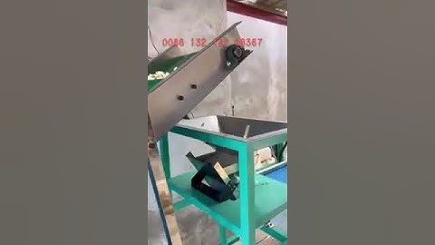 garlic processing video separating machine garlic clove grading sorting machine