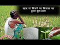 नौबतपुर मे किसानों को नहीं मिल रहा है खाद| खाद का स्टाँक होने के बावजूद किसानों को नहीं मिल रहा खाद