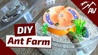 How to Build an Ant Farm | Plaster All in One Formicarium