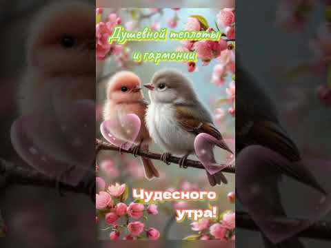 Доброго утра! Пусть в душе всегда царит весна! 💐☕🍰 #сдобрымутром #доброеутро #видеооткрытка