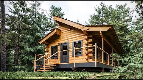 Log Cabin Building TIMELAPSE Built by ONE MAN (and Grandson)