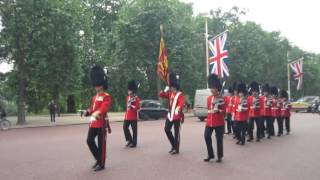 ROYAL Guard at Buckingham Palace
