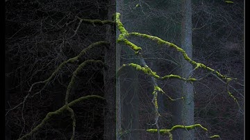 Darktable Episode 67: Advanced masking part 1: parametric masks