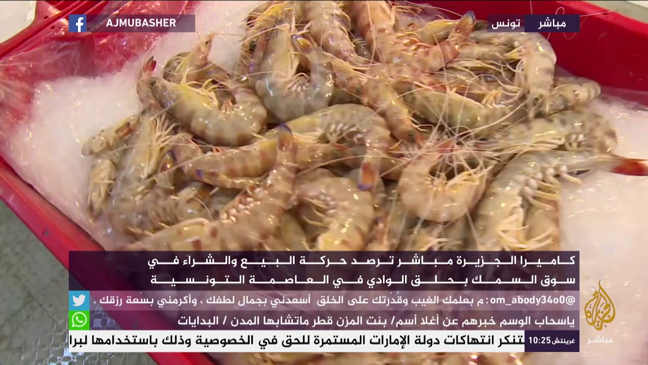 حركة البيع والشراء في سوق السمك بحلق الوادي في تونس