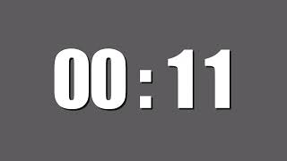33 Sec Timer