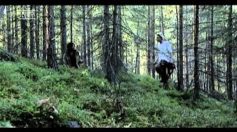 Schwedische Thriller Schwedische Thriller