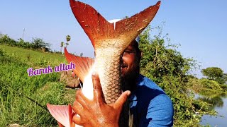 Unbelievable Fishing|Fisher Man Catch With BiG Rohu Fish in Single Gal Hook|Village Fishing|Fishing