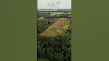 سورة النجم 🌙 آيات تلامس روحك بالهدوء والسلام | Surah An-Najm 🌙Verses That Touch Your Soul with Peace