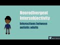 Neurodivergent Intersubjectivity: a study of communication between autistic adults