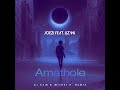 Joezi feat. Lizwi - Amathole (DJ SAM & M1CH3L P. REMIX) | MUZOFAKA