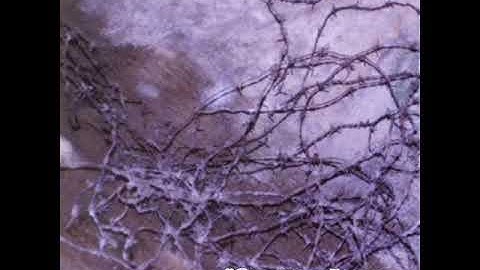 Atom Infant Incubator - Tribal Visions