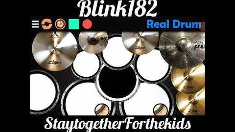 Blink182 || Stay Together For The Kids || real drum cover