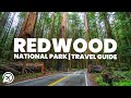 REDWOOD NATIONAL PARK Travel Guide