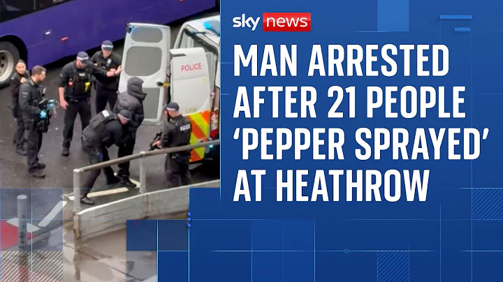 Man arrested after 21 'pepper sprayed' in Heathrow suitcase robbery