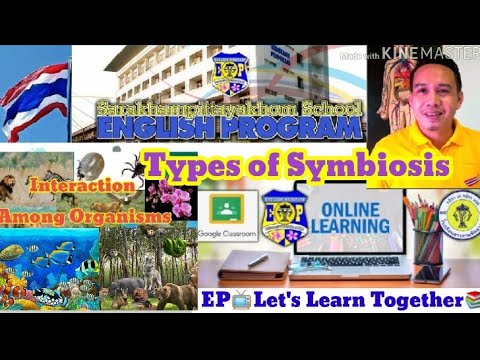 Interactions Among Organisms